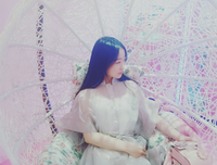 关于七锦的句子