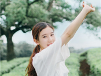 有关木槿昔年的句子