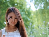 关于凉风有信的优美句子