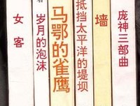 《岁月的泡沫》经典读后感有感