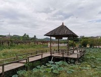 岭南师范学院|“轻舟逐梦”社会实践队：走进南塘