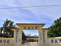与“太阳”肩并肩同行