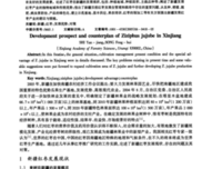 教师的“经济”分类