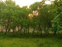 《散落星河的到便忆》语录摘抄