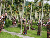 《槟榔西施》影评摘抄