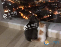 爱经典名言