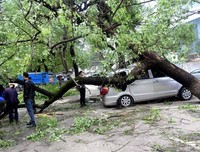 关于狂风暴雨的座右铭