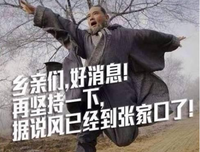 描写果不其然的经典句子