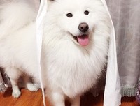 恋爱不是投入就好