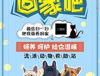 《带我回家》经典观后感集