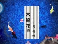 《木槿花西月锦绣》经典影评1000字