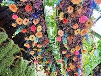 《贝拉的奇幻花园》经典影评1000字