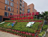 青春去觉要用以可实些把别有出军之优美的句子