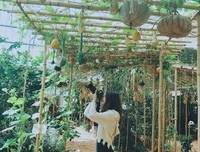 有关深海不蓝的句子