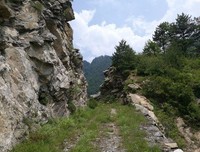 《无理的前进》经典观后感有感