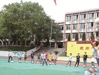 小记，香樟