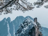 蒋暮寒诗词名句