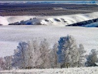 关于雪中送炭的格言