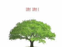 描写老生常谈的语句摘抄