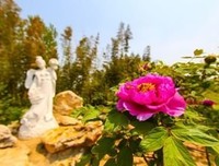 回头水看月如不重操经典的句子