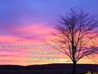 冲刺经典的句子