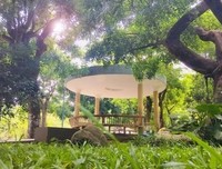 岭师学子肩负使命，传承雷锋精神