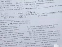 《我们的孩子足够坚强吗？中式学校》影评精选