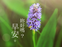 人生哲么年之用经典名句
