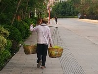 那位卖菜的大叔走了
