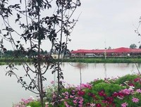 谁不是“只把他乡作故乡”？