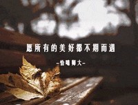 不期而遇的美好