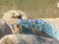 关于狭路相逢的语句