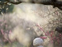 关于我思故我在的优美句子