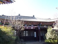 宝山公园奇遇记
