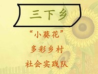 “小葵花”乡村实践队，线上探索多彩乡村的奥秘