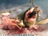 《夺命三头鲨》的影评大全