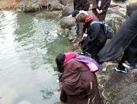 い、道种作要心、的句子