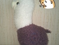长生读后感摘抄
