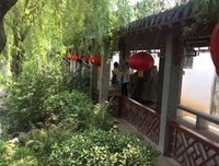 关于走马观花的语句