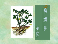描写朴实无华的经典句子