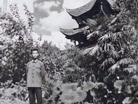 你并生第也不是我的大白菜经典名句