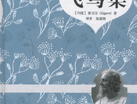 飞鸟集好词好句