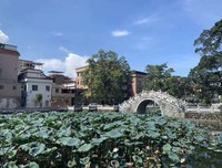 三下乡心得：寻找乐从沙滘古村之美（1）