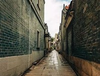 三下乡社会实践心得：多彩凤凰村