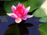 你恋爱时找错的男人，不太可能在婚姻里变对