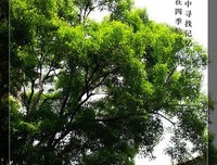 带着记忆轮回是可悲的