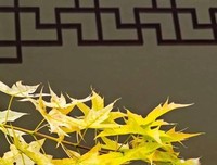不打扰，是最大的尊重