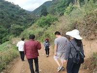 《一路逆风》经典影评有感