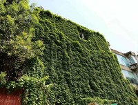 有名空姐想跟家属道歉：对不起，我真不想这样！