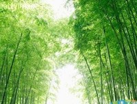 力所能及的语句摘抄_关于力所能及的语句